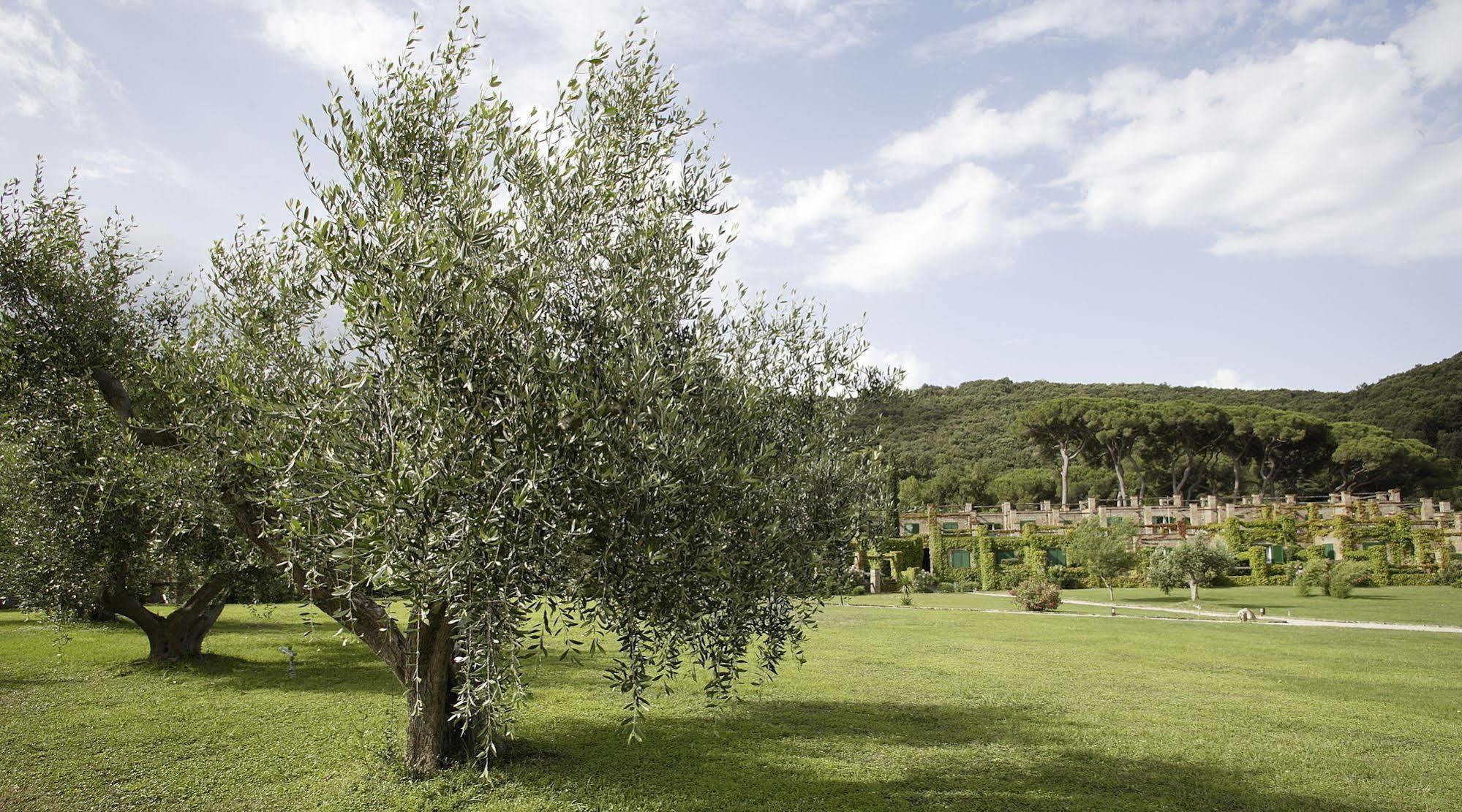Residenza Sant'anna Del Volterraio